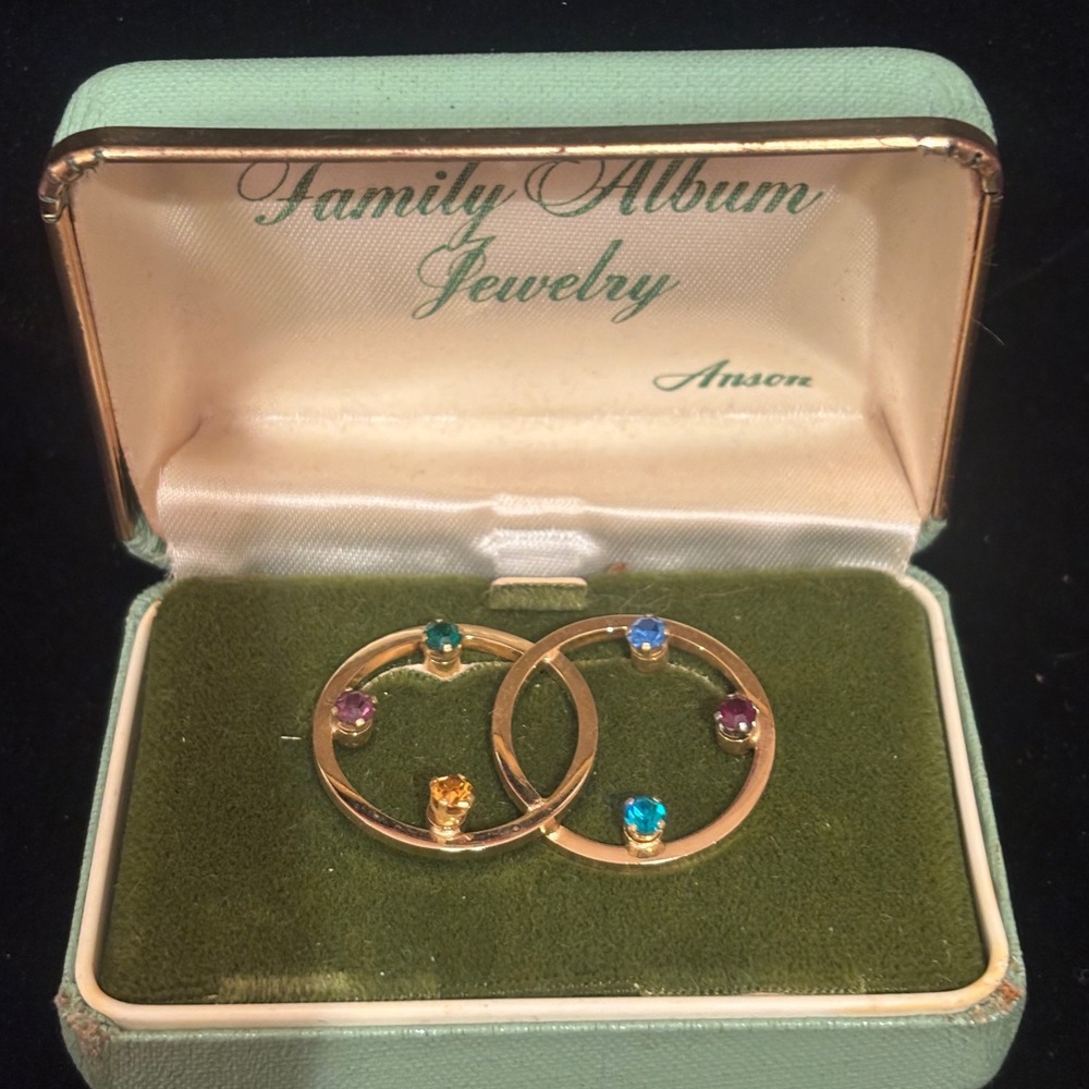 Vintage Anson Family Album Jewelry Gold Tone Multi Stone Double Circle Brooch
